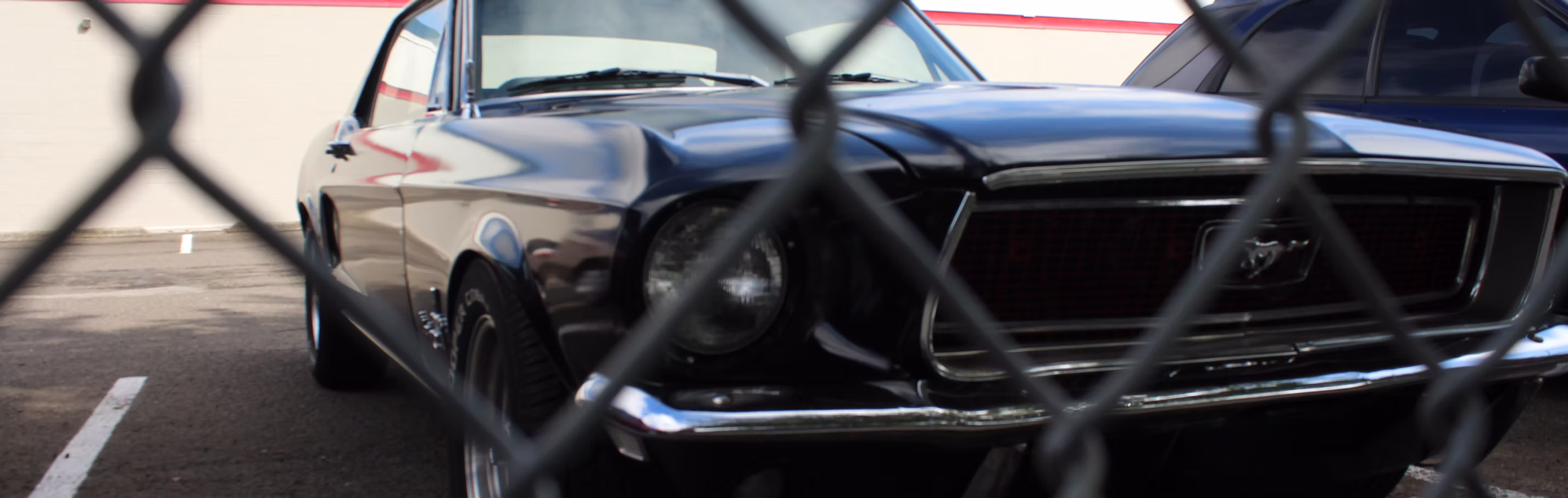 Black car behind metal gate